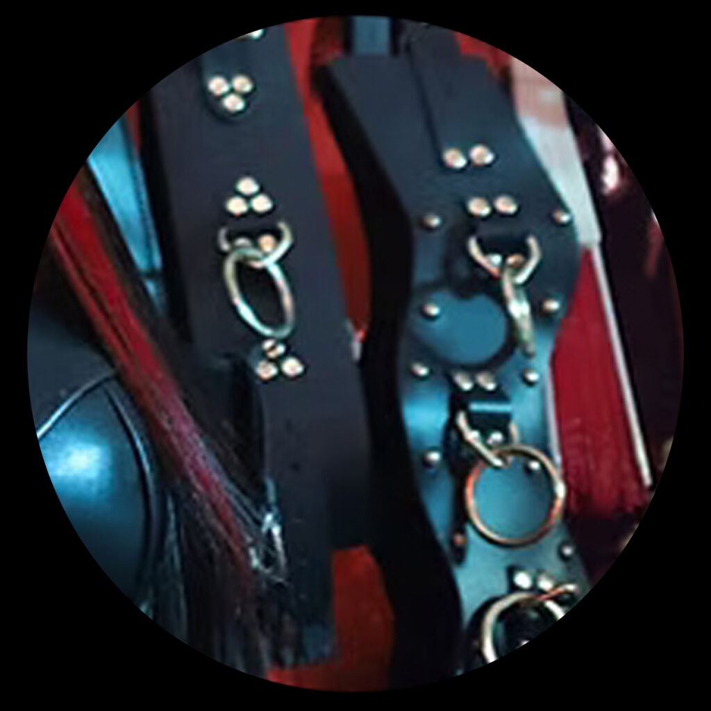  Austin Dominatrix Scarlet Vexus  | Booking -  Rates